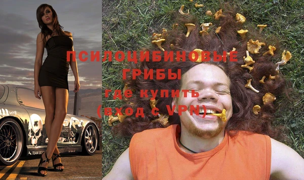 гашик Алексеевка